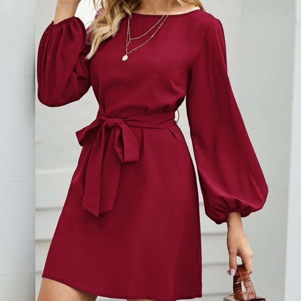 Blue long lantern sleeve  belted dress - Picture 3 of 16